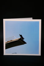 ПРИЛИВ (двоен син винил 180г.)